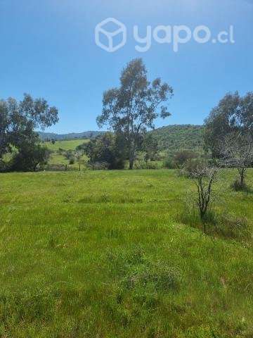 Sitio en venta - Imagen 5