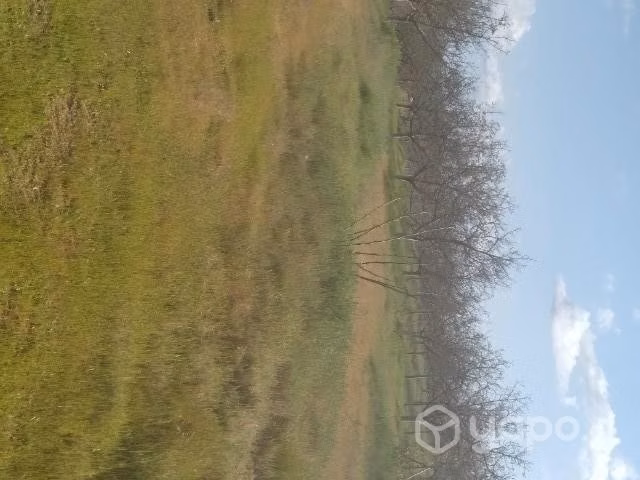Vendo terreno - Imagen 2