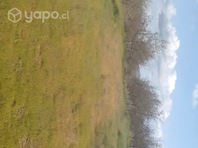 Vendo terreno - Imagen 3