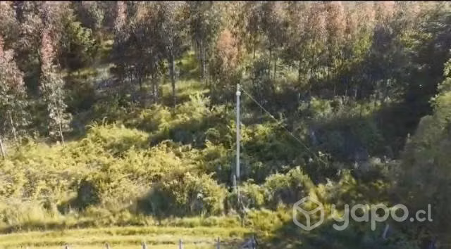 Parcela 1 hectárea 1/3 en el sector de Ñanculen