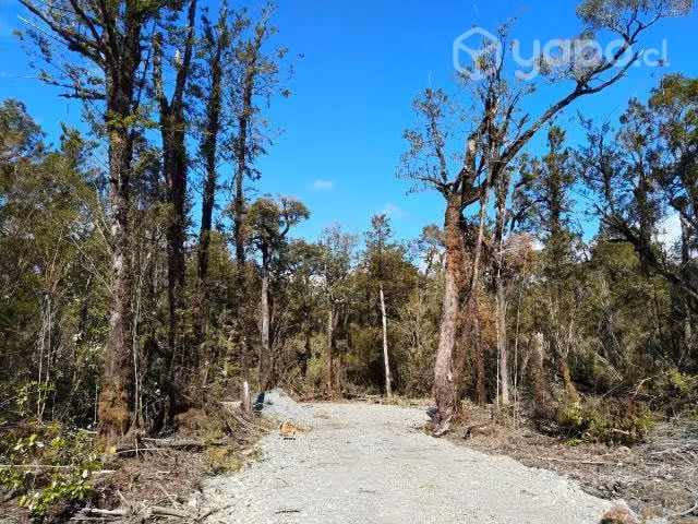 Parcela media hectárea, rol propio, Ancud