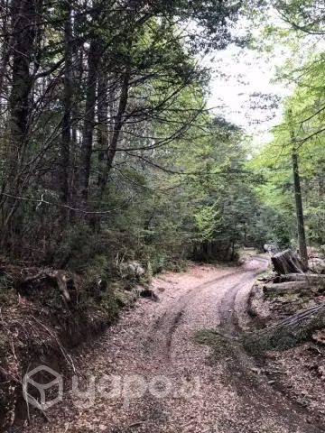 Vendo Terreno Sector Coñaripe Alto