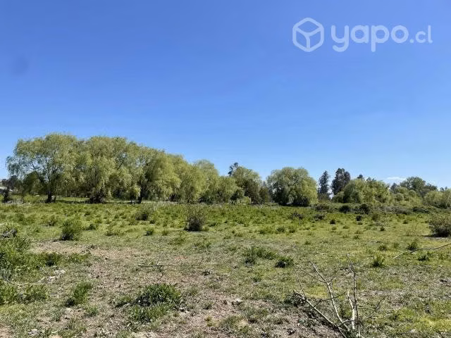 Terreno de 8,4136 hás - Imagen 4