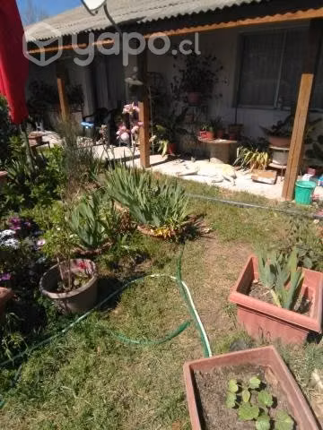 Vendo hermosa parcela de agrado - Imagen 2