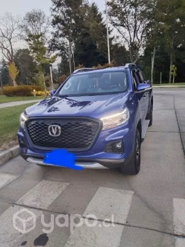 Changan hunter