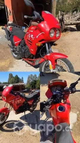 Triumph Tiger
