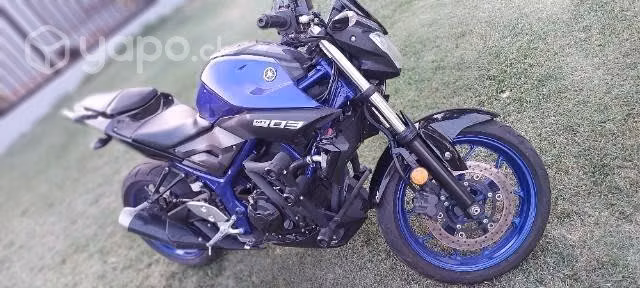 Mt03