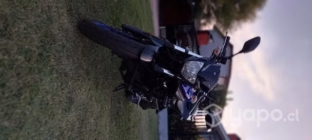 Mt03