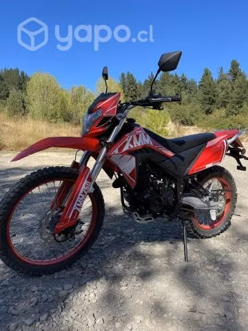 Motorrad XMM 250