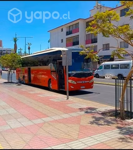 Bus Daewoo