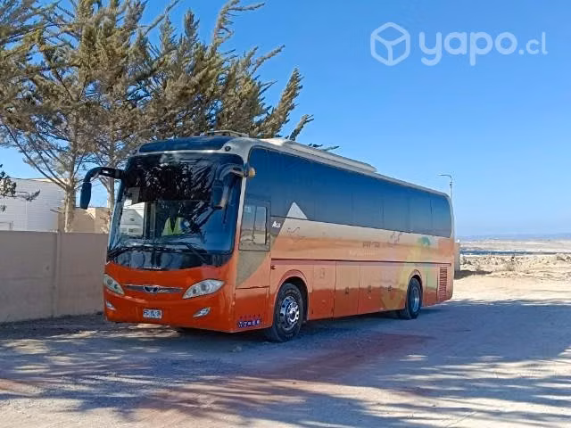 Bus Daewoo