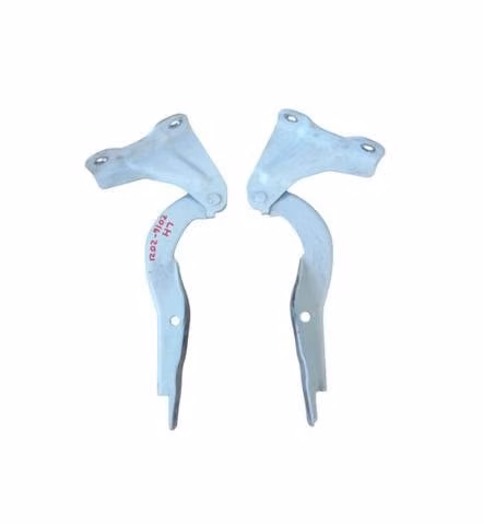 Par Bisagras de Capot Fiat Fullback 