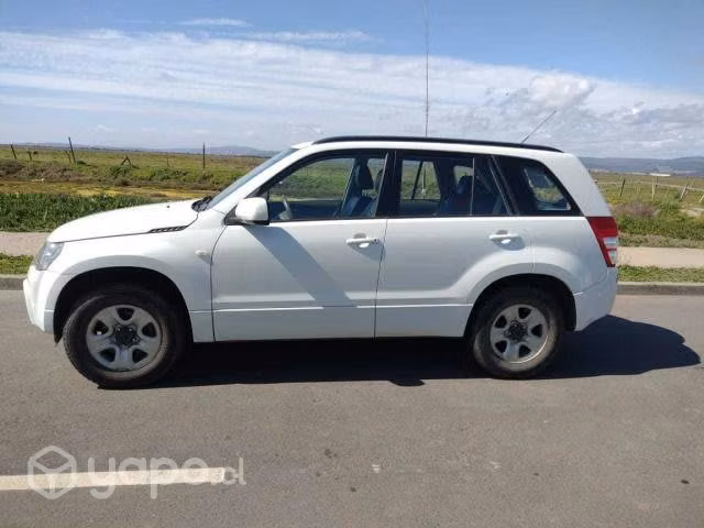 Suzuki grand nomade 2010