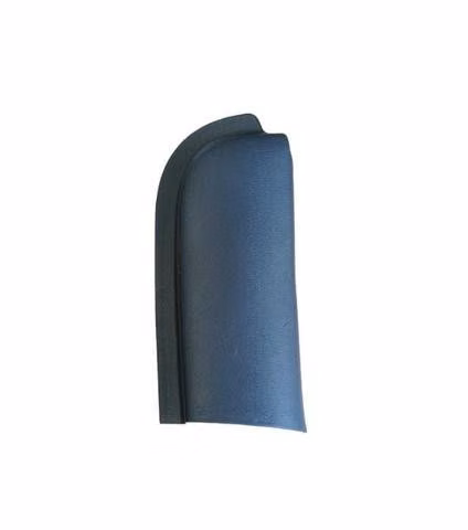 Tapa Interior Puerta Trasera Chofer RAM 1200 2.4