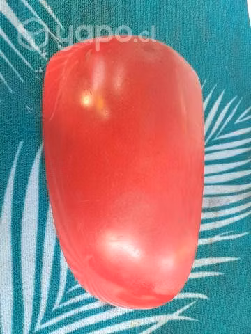 Tapa espejo izquierdo i10