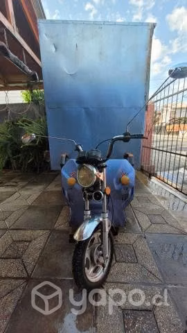 Carro de comida con moto eléctrica