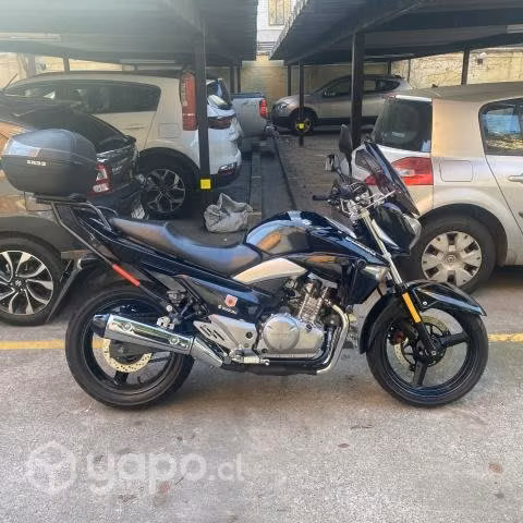 Suzuki Inazuma