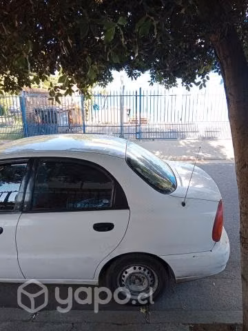Buen compañero
