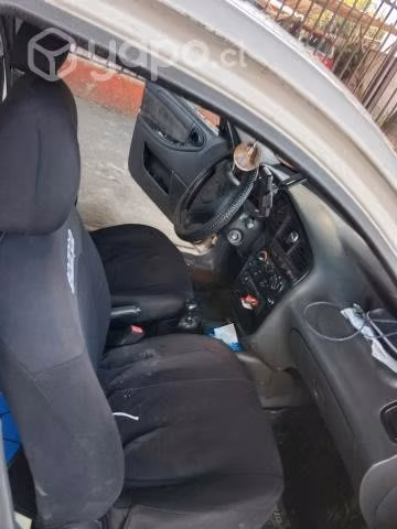Buen compañero