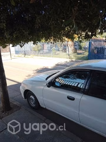 Buen compañero