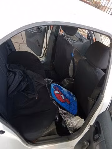 Buen compañero