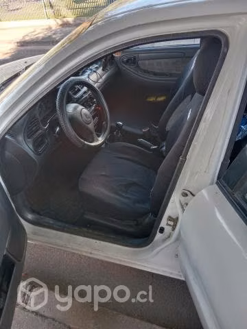 Buen compañero