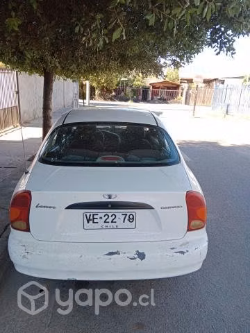 Buen compañero