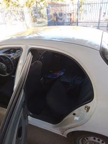 Buen compañero