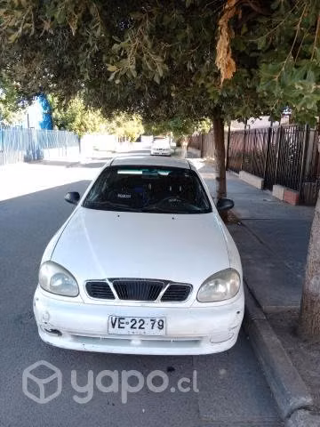 Buen compañero