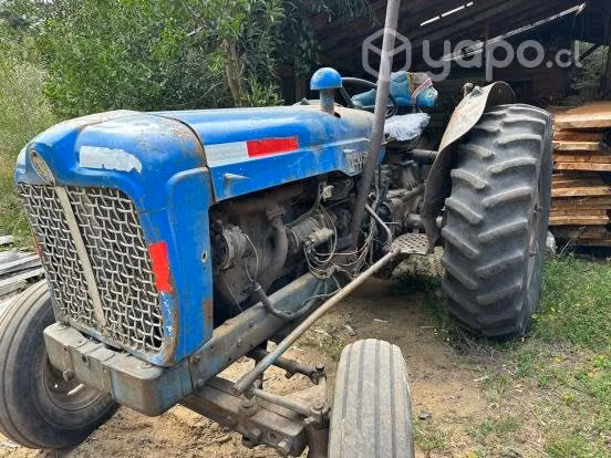Fordson Major año 1951