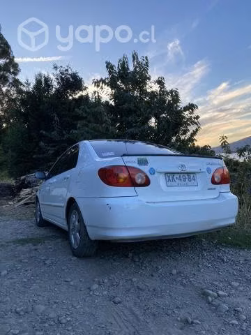 Toyota corolla