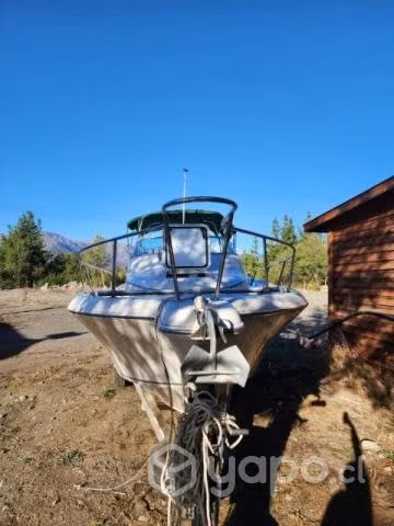 Lancha Pro Line 25.5 pies , 231 Walkaround