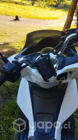 Moto scooter, Honda PCX 150 cc