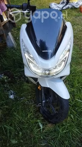 Moto scooter, Honda PCX 150 cc