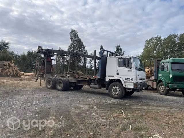 Mercedez Benz 2428 Forestal con grúa y carro