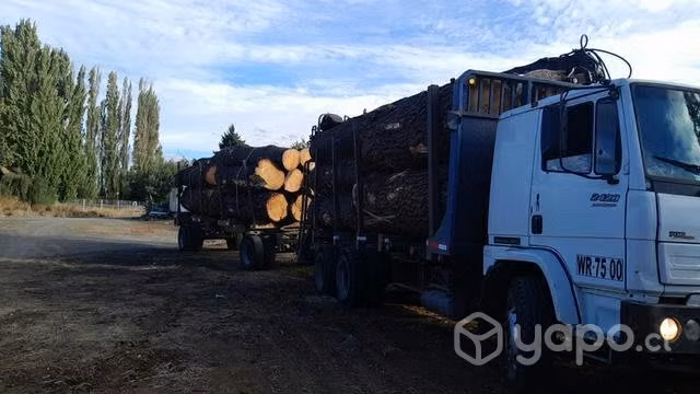 Mercedez Benz 2428 Forestal con grúa y carro