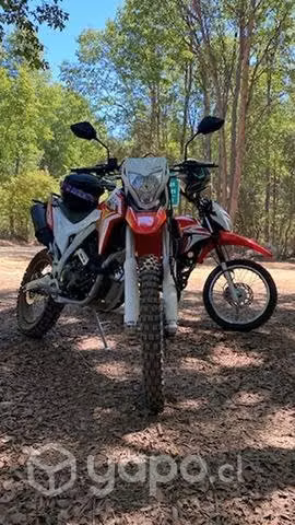 loncin lx250gy3 f