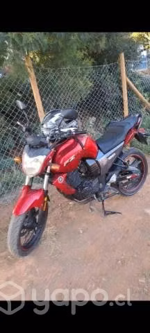 Fz16 año 2013