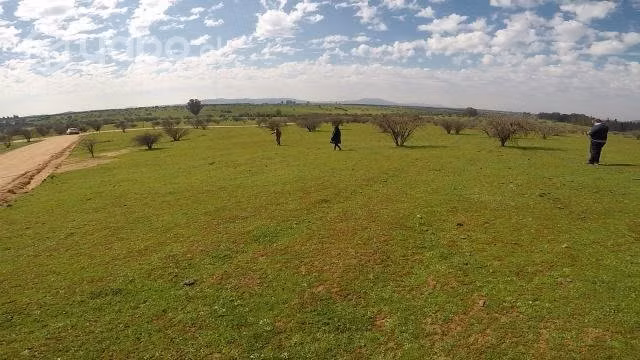 Hermosa Parcela De Agrado, Rol Propio
