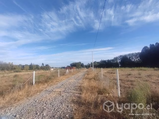 Parcela 5000 M2, sitio Coihueco - Imagen 2