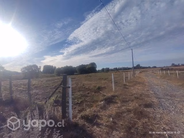 Parcela 5000 M2, sitio Coihueco