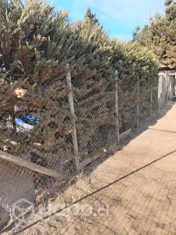 Vendo Terreno en Laguna Verde,sector La Ballica