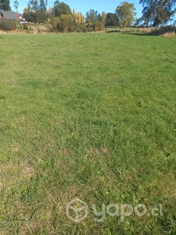 Se venden 2 parcelas