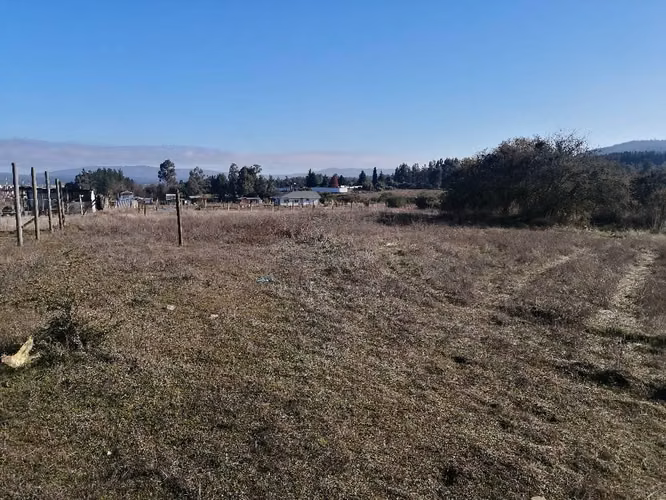 Se Venden Terrenos en Quirihue