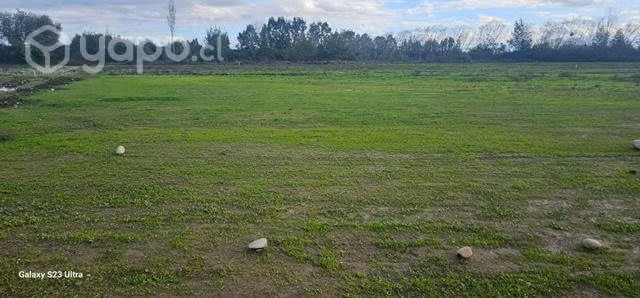 Parcela linares