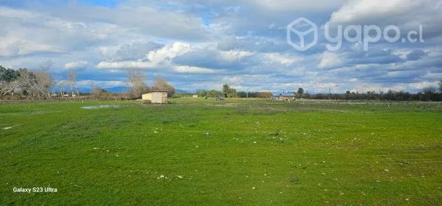 Parcela linares