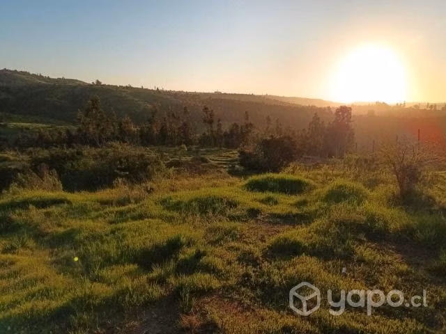 Venta terrenos Quinta Región