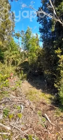 Parcela puerto varas - Imagen 6