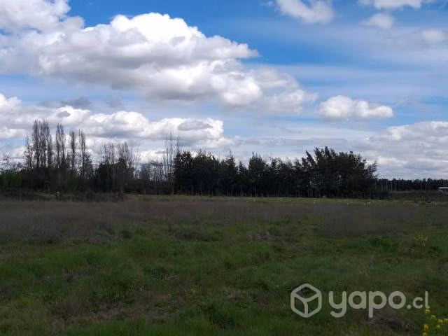 Venta parcela en molina