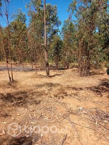 Vendo hermosa parcela de agrado en paredones